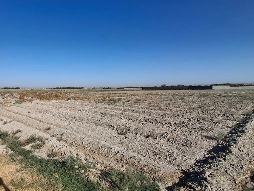 هزارمتر متر زمین باغی کیمه