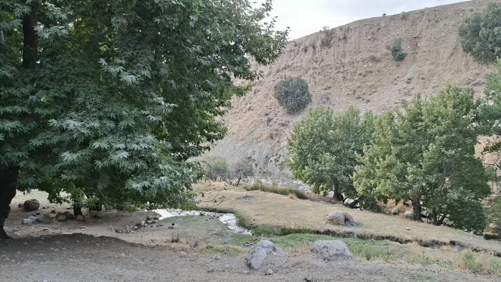 زمین۱۲۶متری معاوضه با نیسان یا۴۰۵