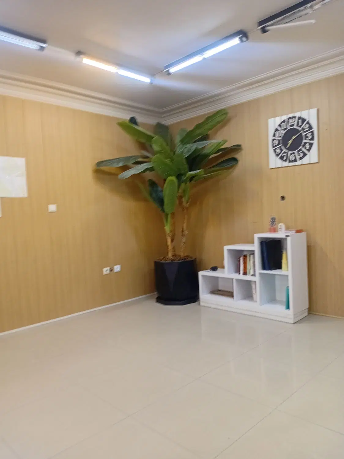 فروش زمین 230متری  خ مطهری