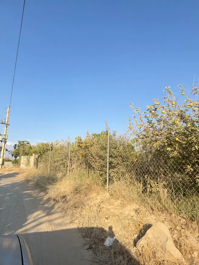 باغ از ۳۰۰ متر تا ۲۰۰۰ هزار متر شهرکی ابسرد زان