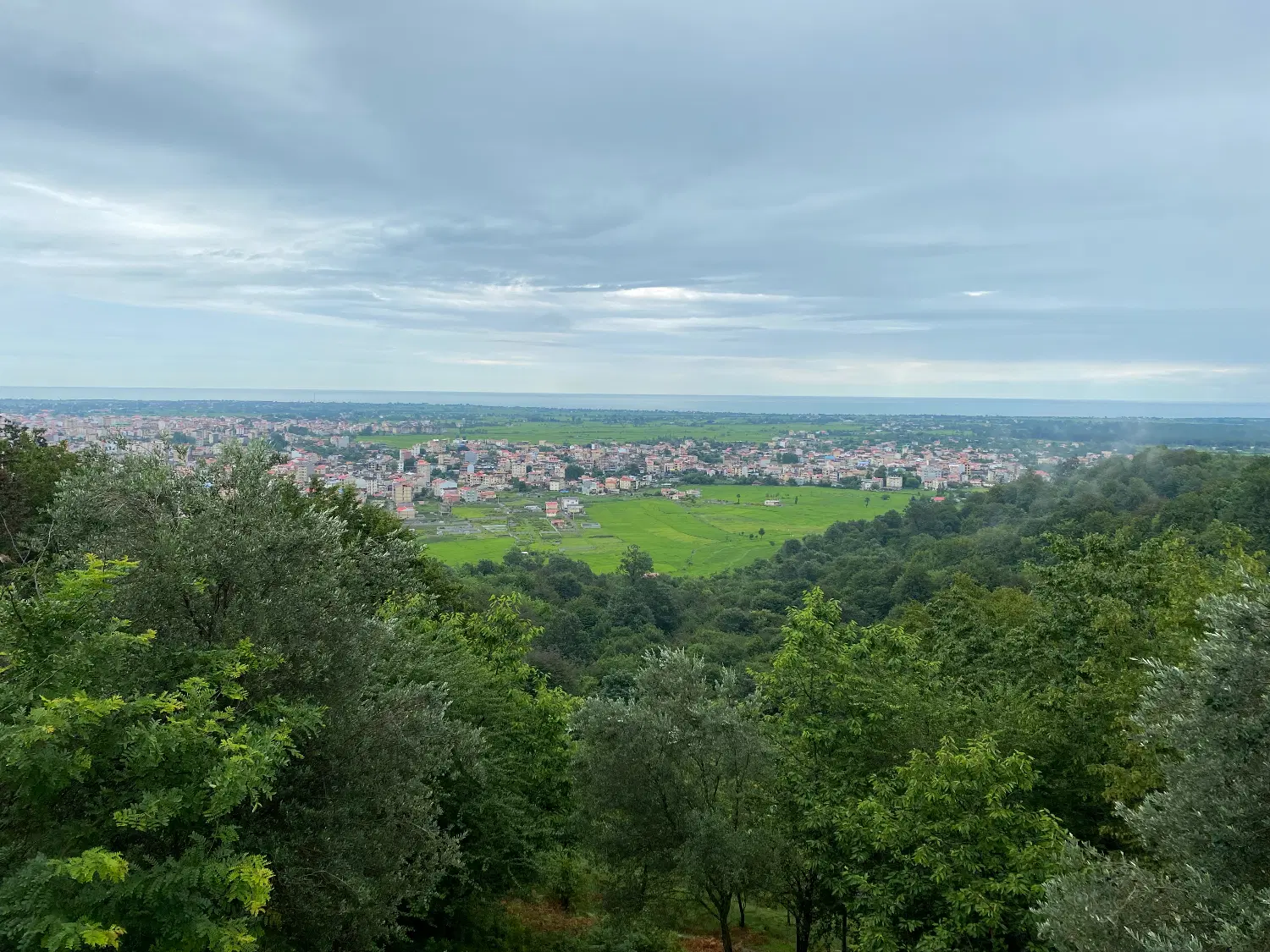 زمین بنیادی مزرعه نو
