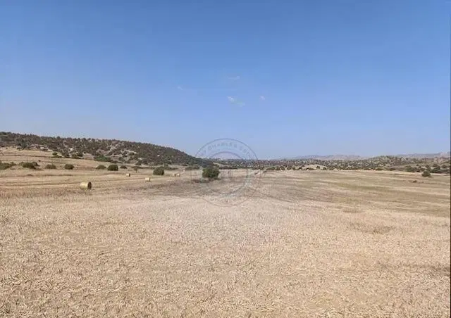 یک قطعه زمین مسکونی 400 متری