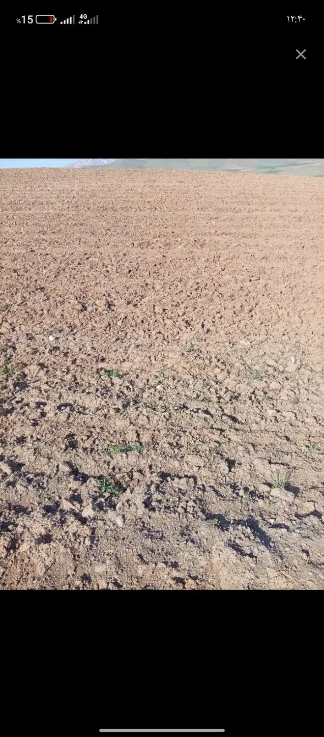 اجاره زمین کشاورزی فوری