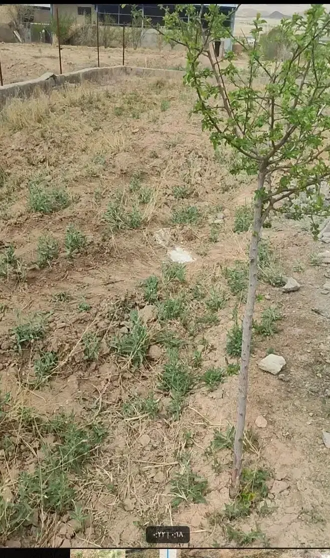 باغ باقراباد حدود