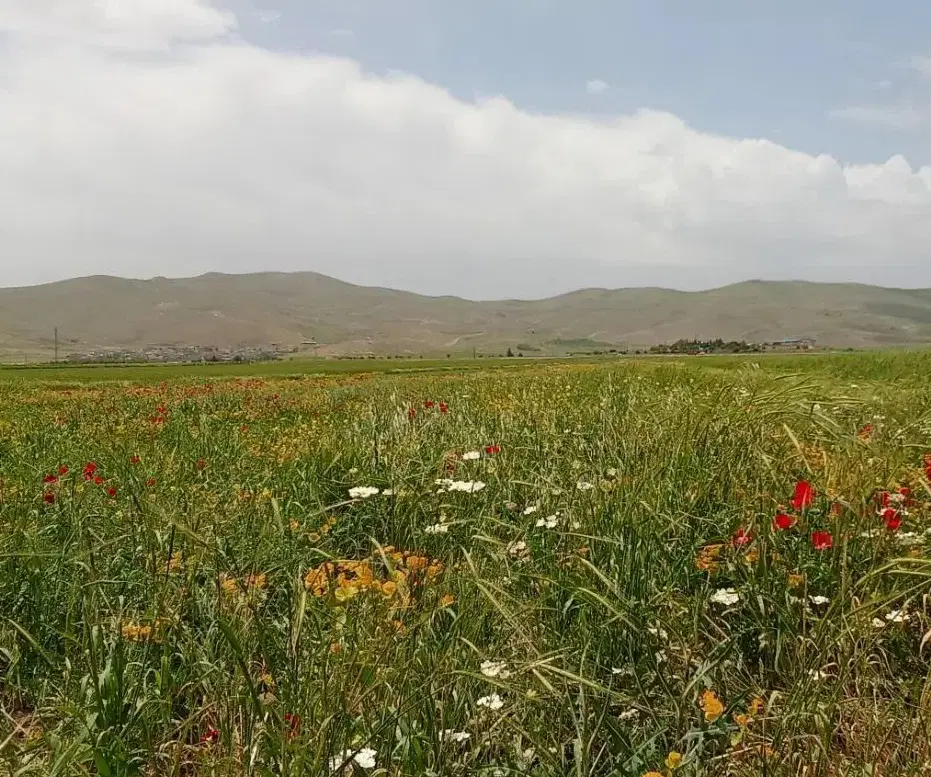 زمین تجاری روستای دوستوند