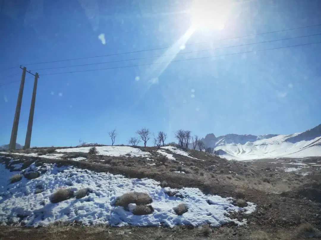 ۱۸ هکتار زمین باغ سمنان سند تک برگ پسته