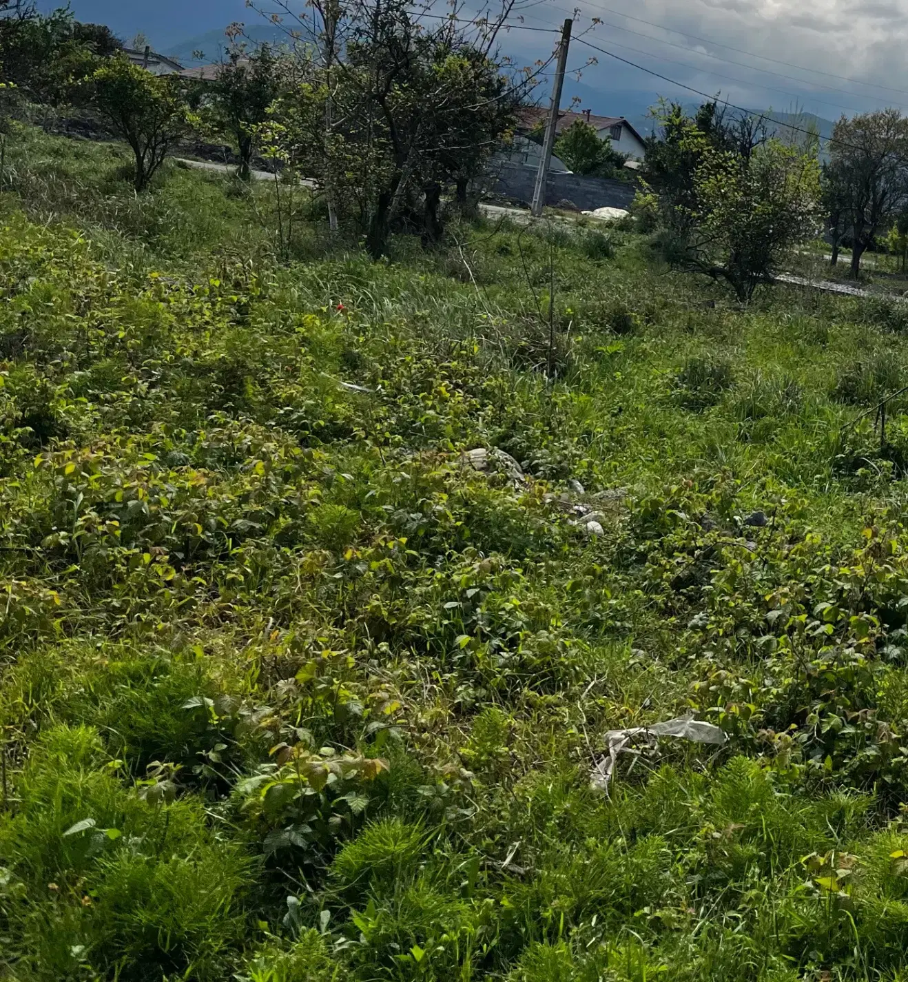 ۴۶۰ متر زمین با سند با ۱۹۰ متر جواز ساخت