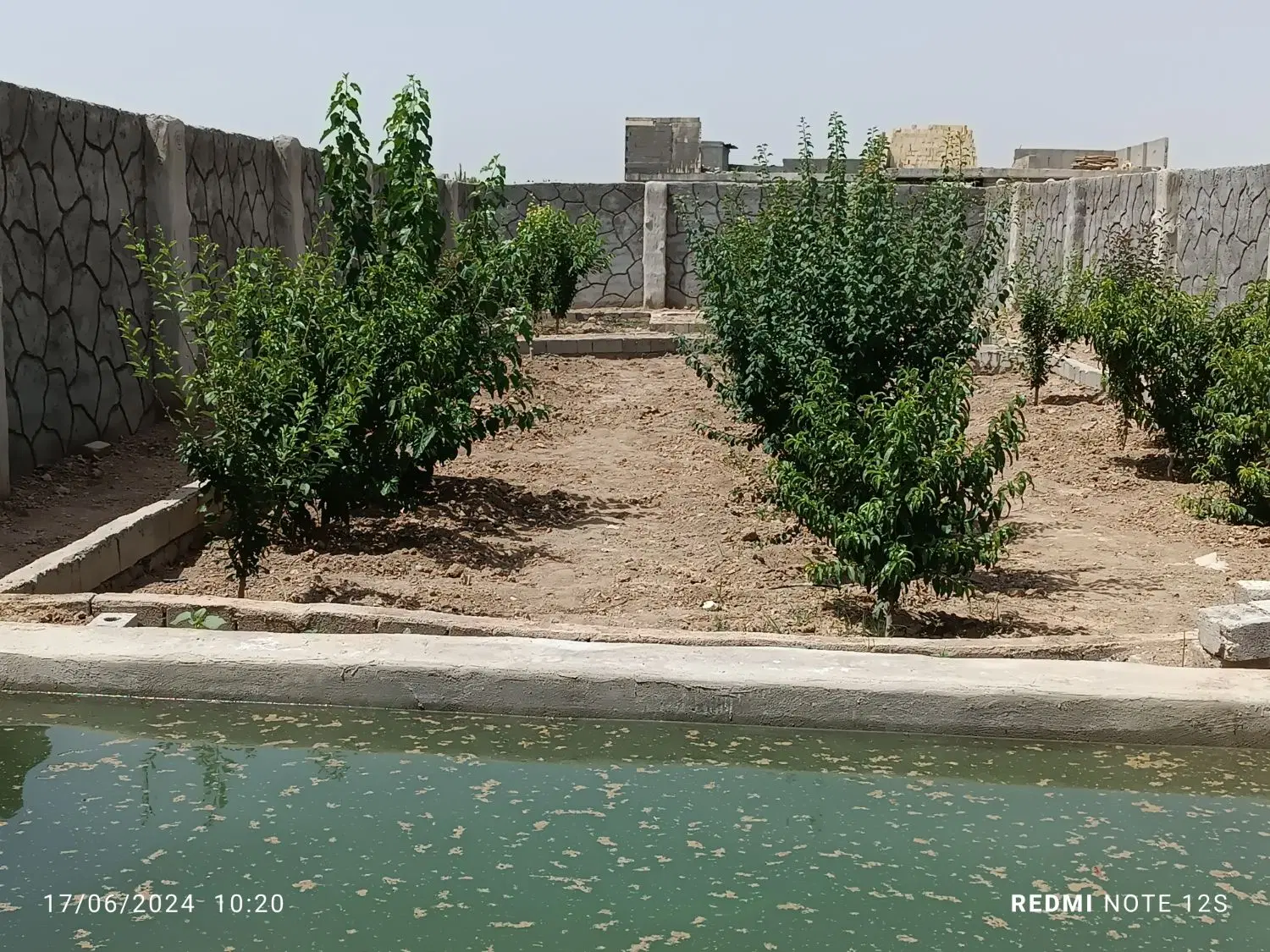 باغ درهویه