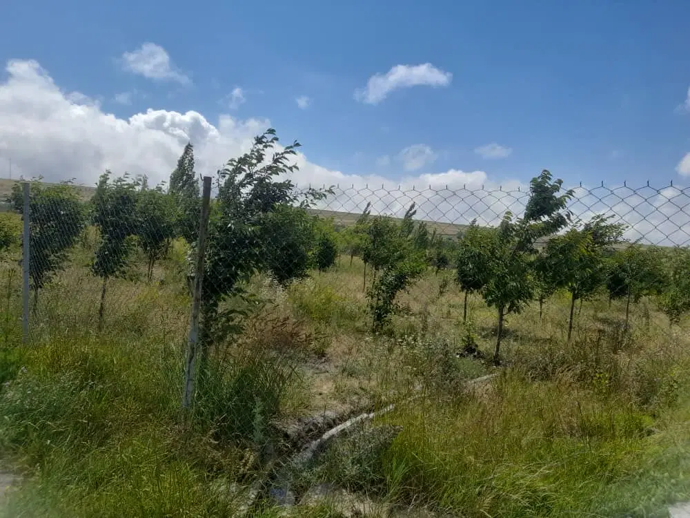 باغ ۱۳۰۰ متری سند تک برگ روستای دودران نمین