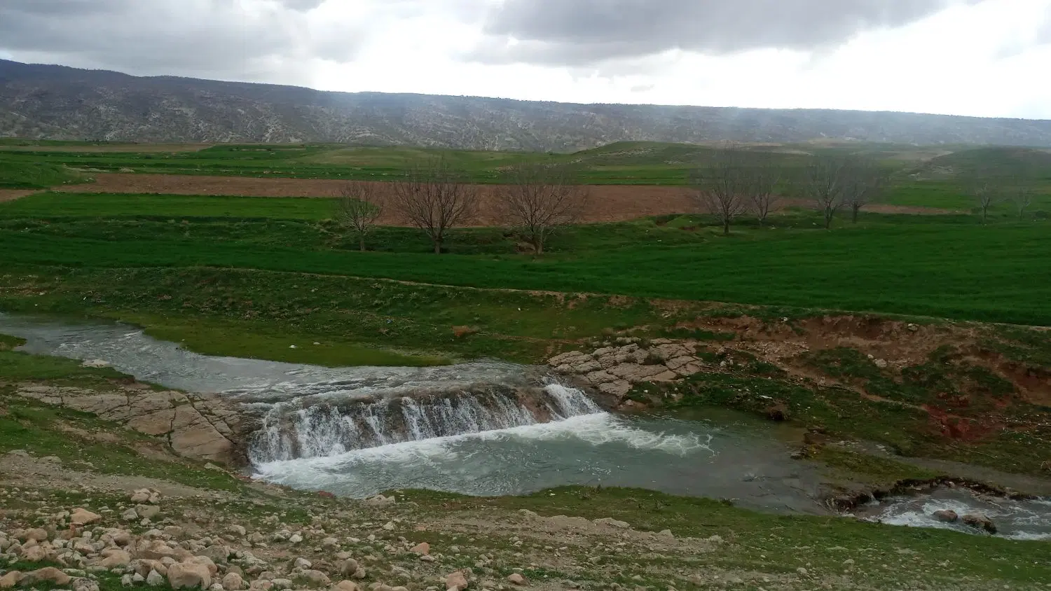 زمین خانه باغ در نرگسی۲۵۰۰