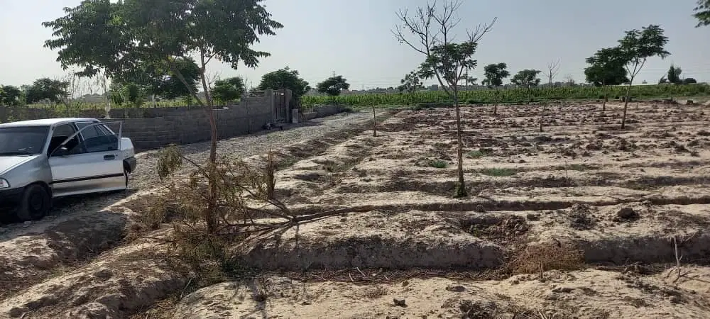 زمین