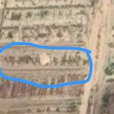 زمین