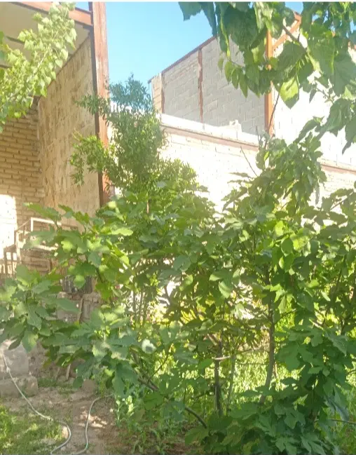 خانه باغ به متراژ 130متر
