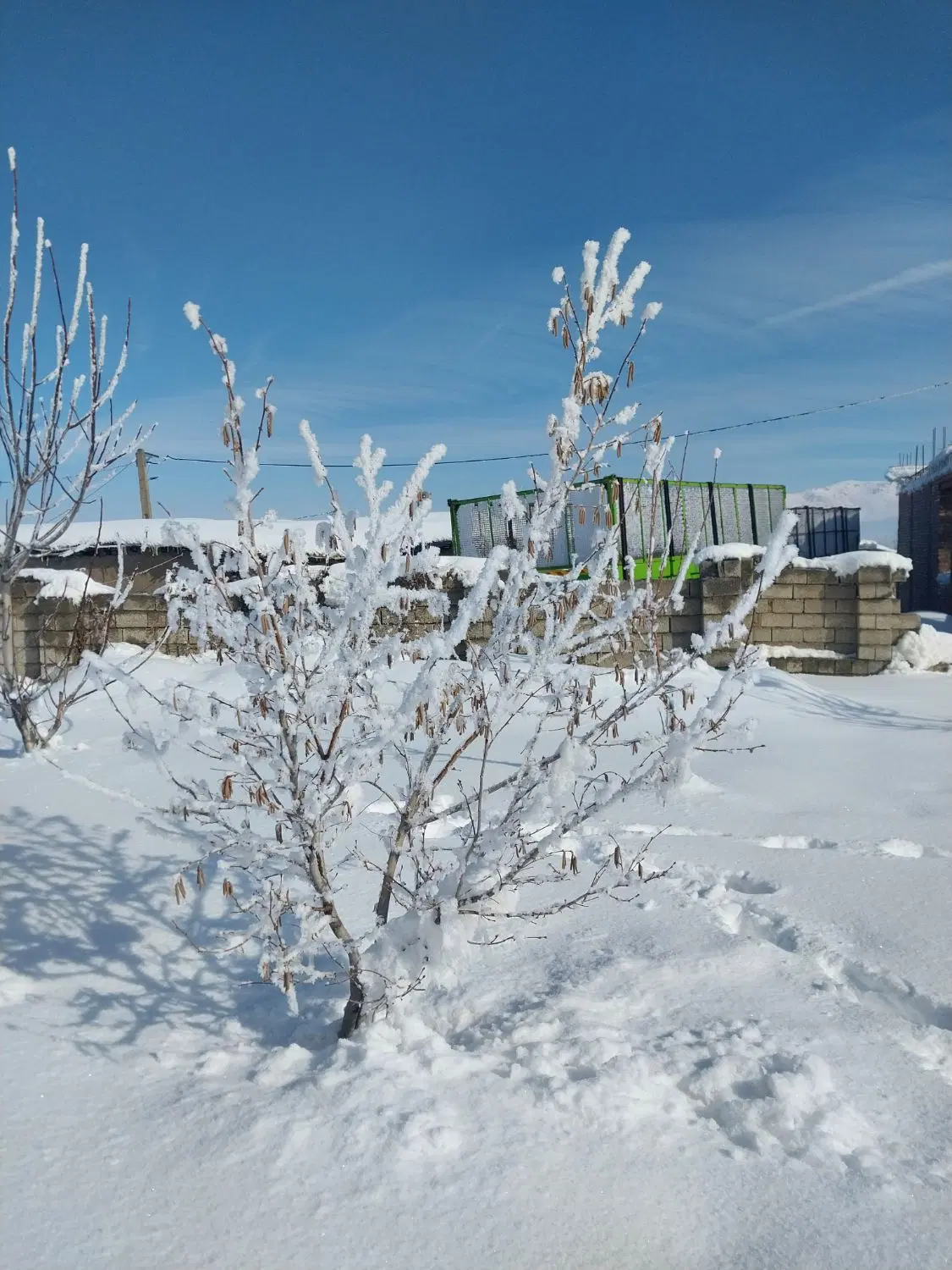 زمین مسکونی در روستای گردمخانە