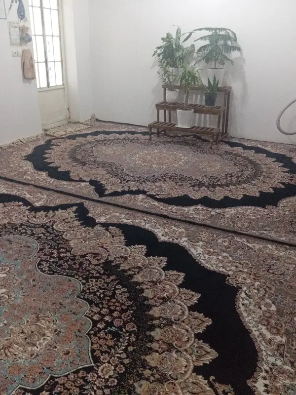 رهن خانه 250 متری در زیباشهر
