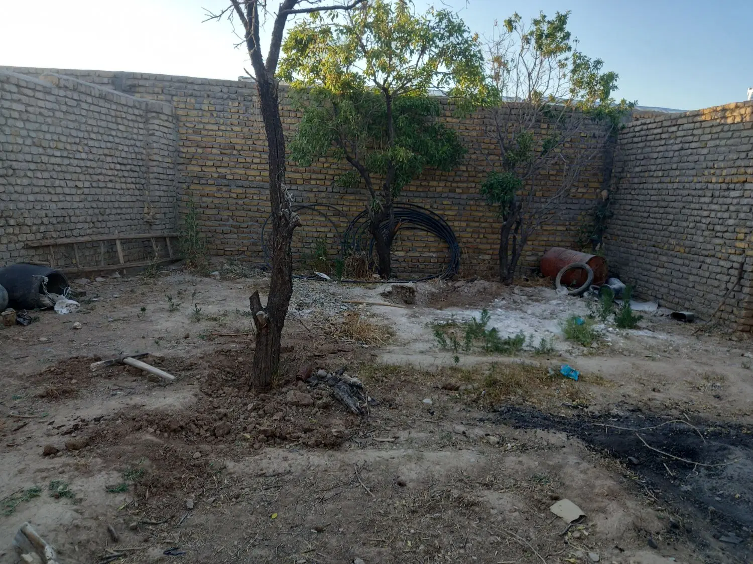باغ فروشی
