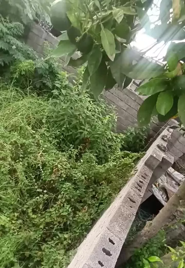 ۲۸۰ متر ، مسکونی با پروانه ، بالاده