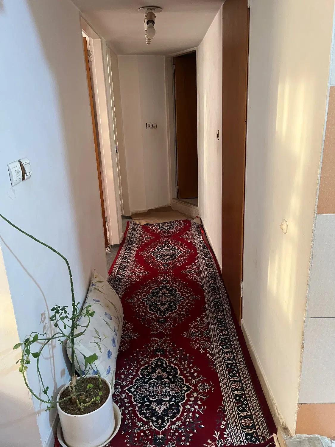 خانه