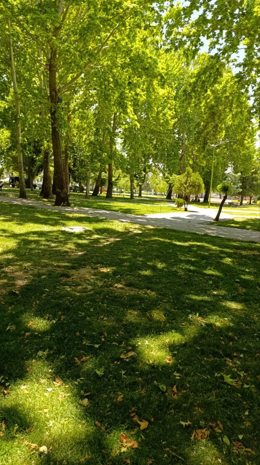 فروش 500متر زمین در روستای وردان