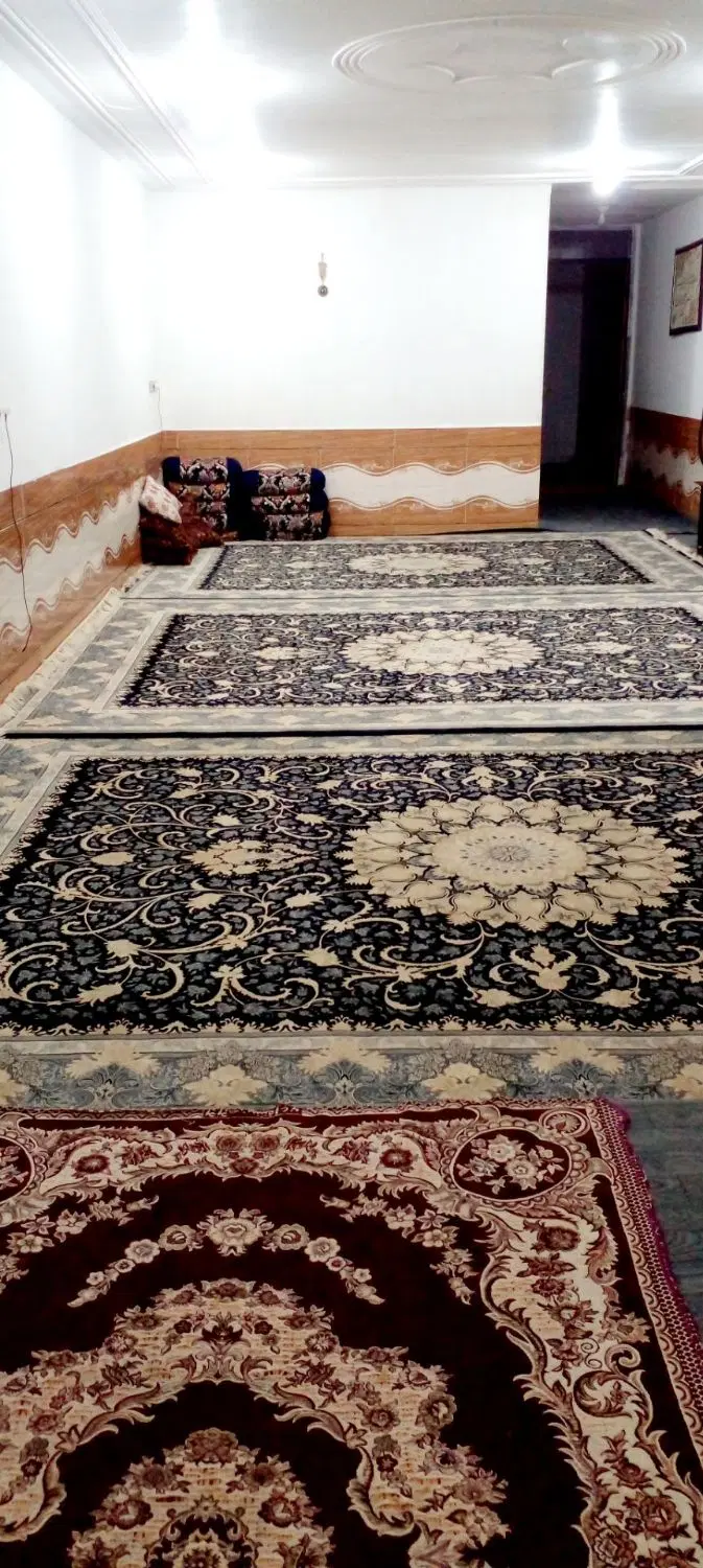 زیباشهر خیابان ورزش نبش جوان