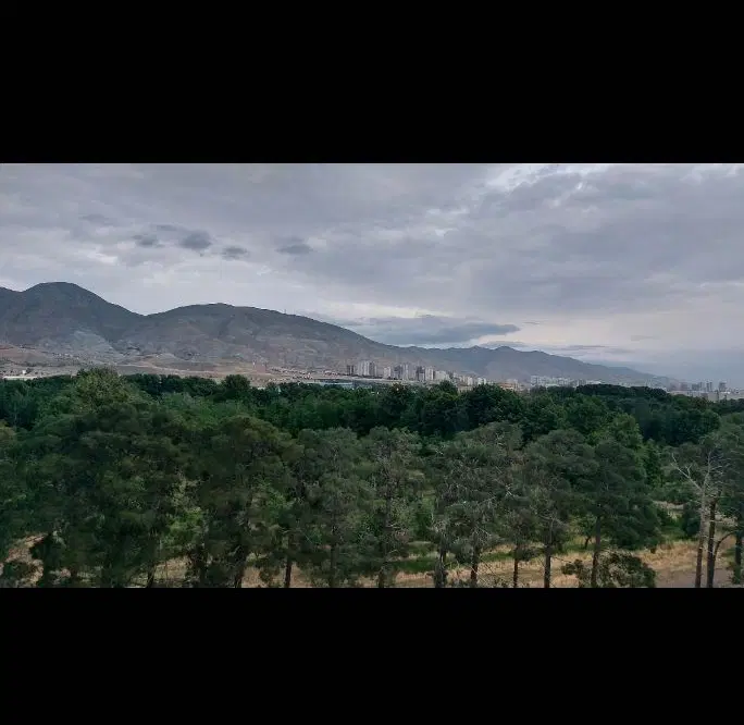 ۸۱متر،خوش نقشه،بازسازی شده