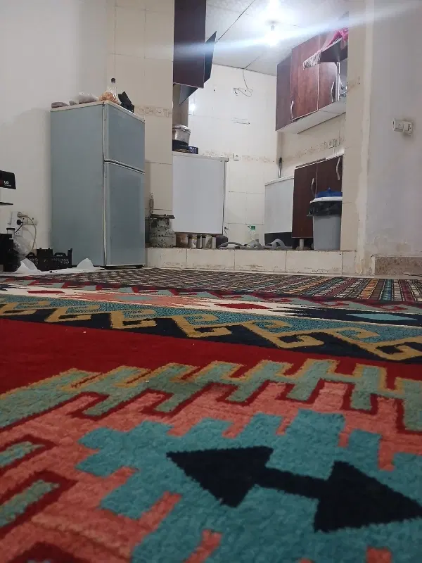 همخانه خانم