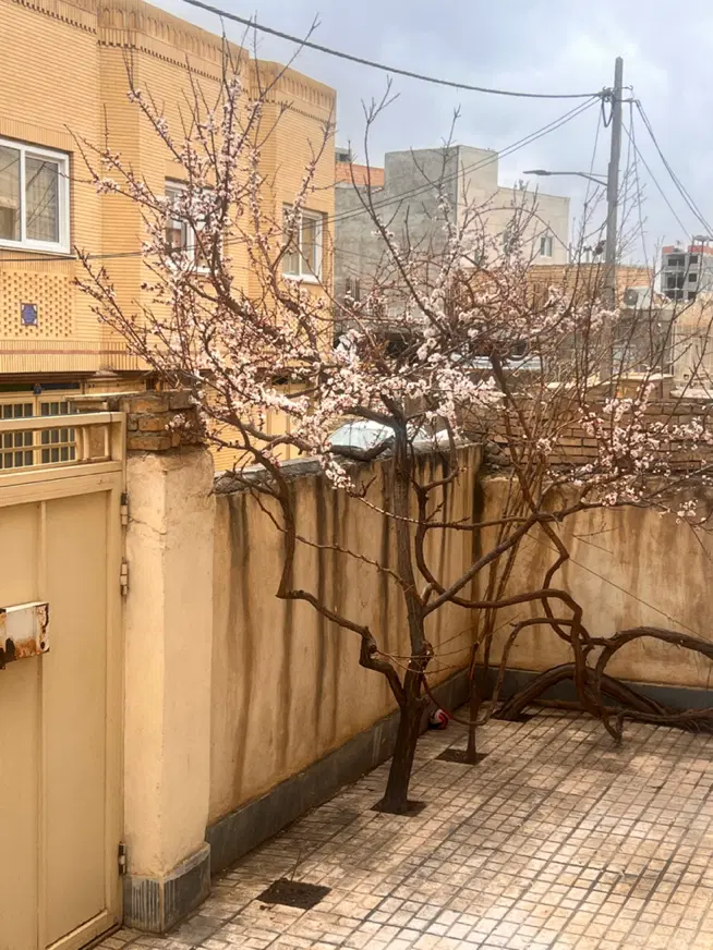 ۱۳۰ متر  زمین با دهنه ۷ و نیم داخل کوچه بن بست