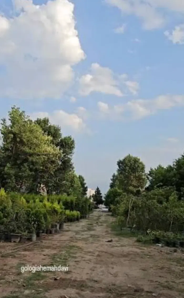 زمین مسکونی به متراژ ۴۰۰ متر بهر خیابون