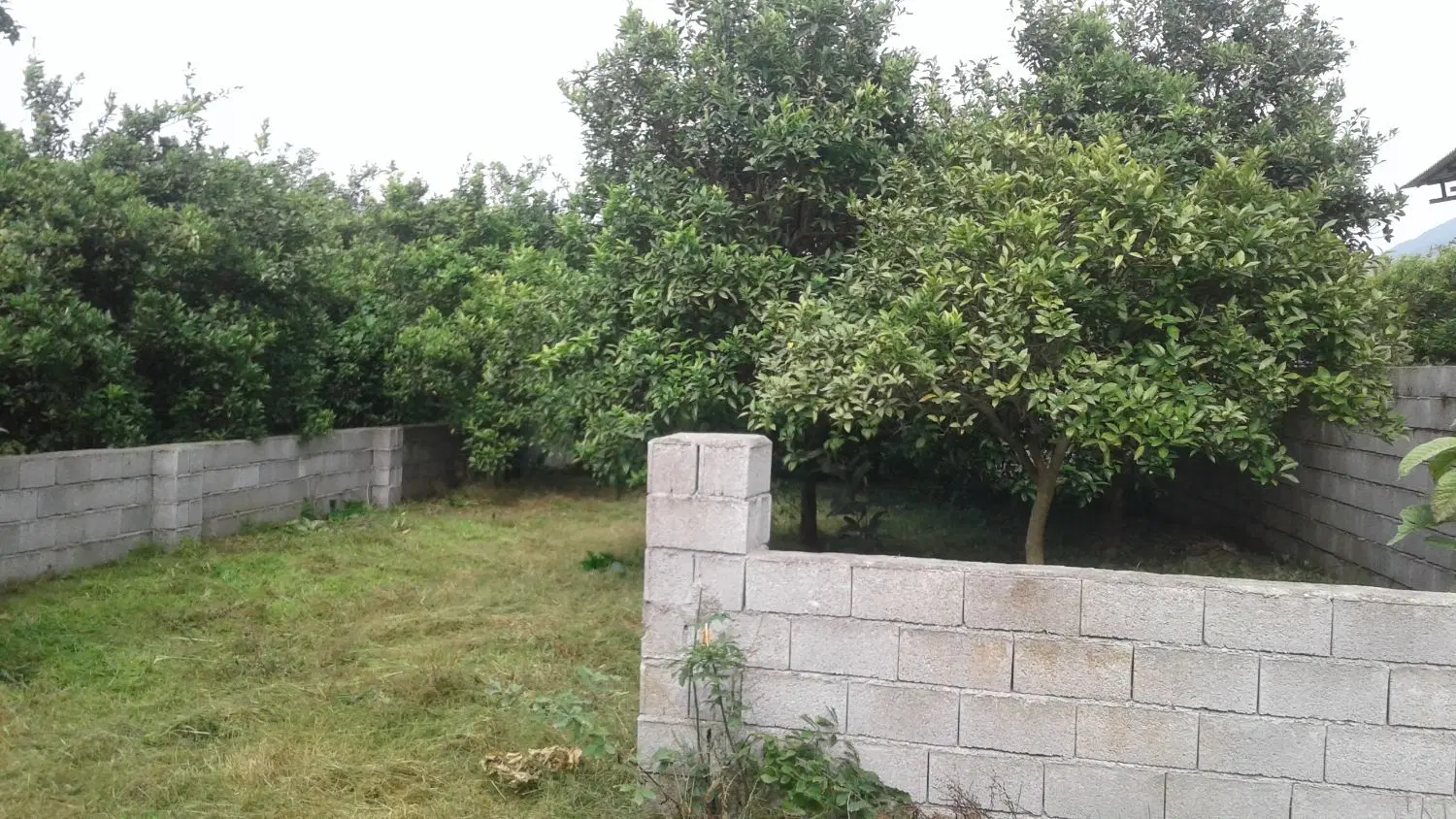 زمین مسکونی فروشی