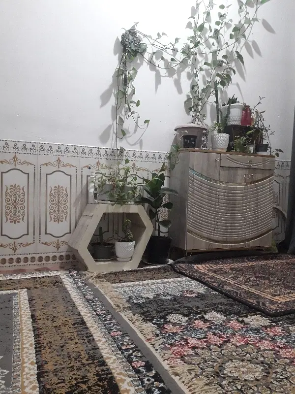 مهاجرین