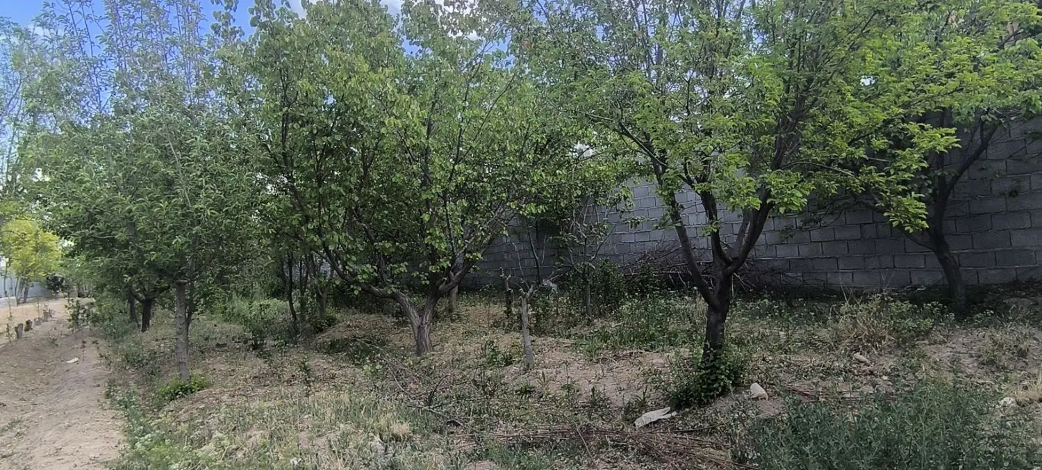 زمین باغی زازران