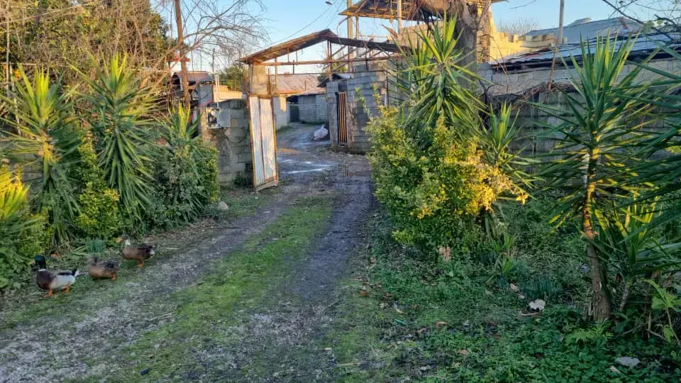 زمینی با سند تک برگ ۴۵۰متر فروشی