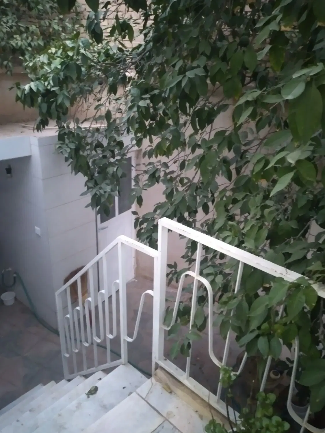 اجاره منزل دو خوابه