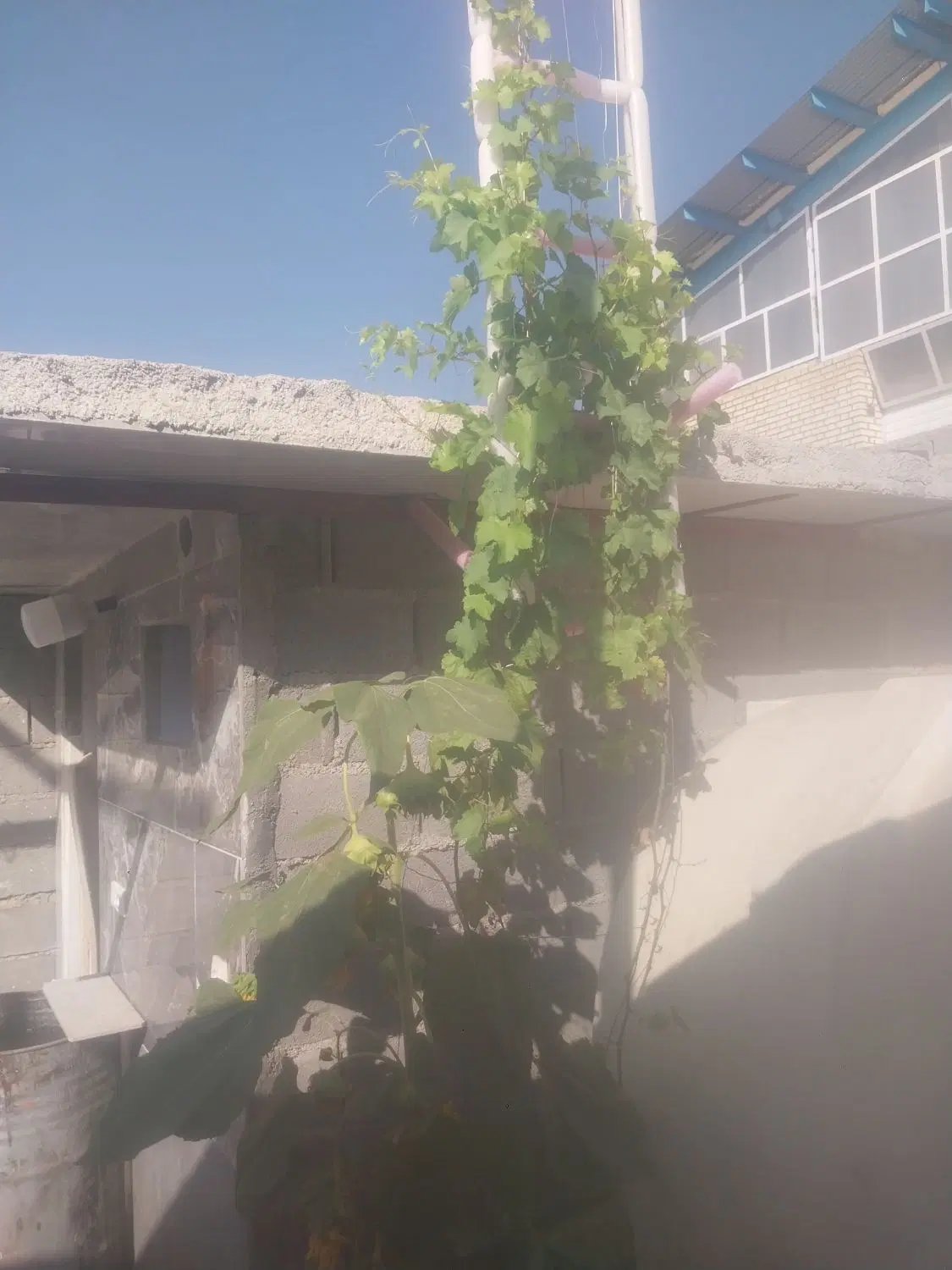 فروش زمین واگذاری امور عشایر