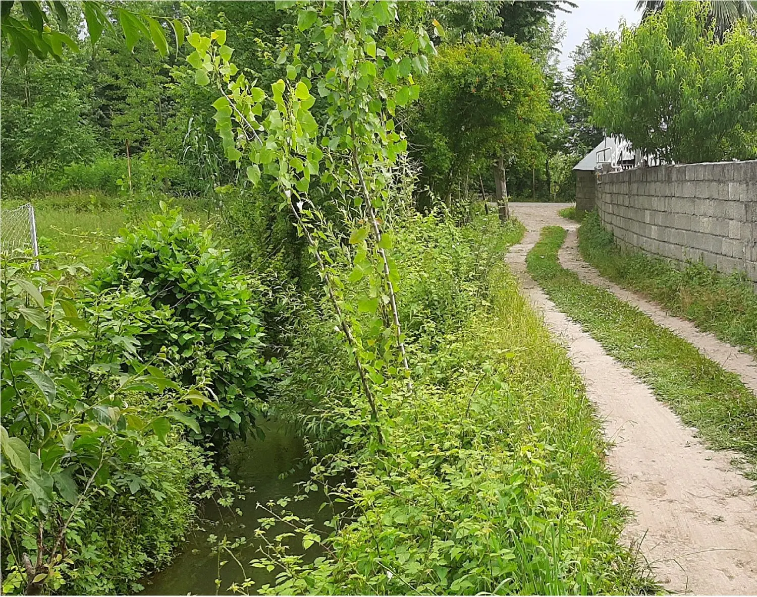 زمین تمام مسکونی