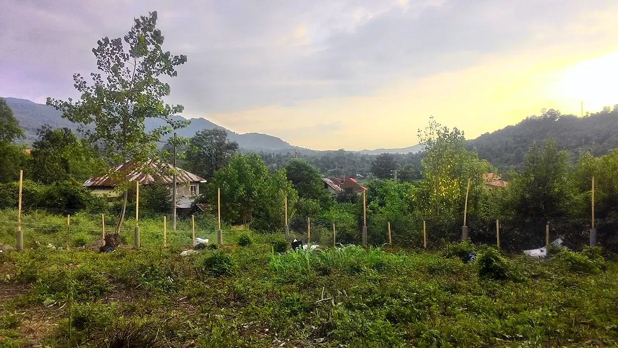 زمین کوهپایه ای بر جاده اصلی