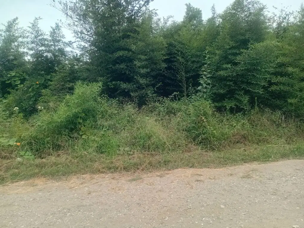 اگهی فروش زمین
