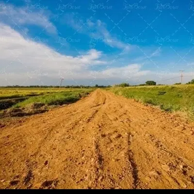 زمین کشاورزی