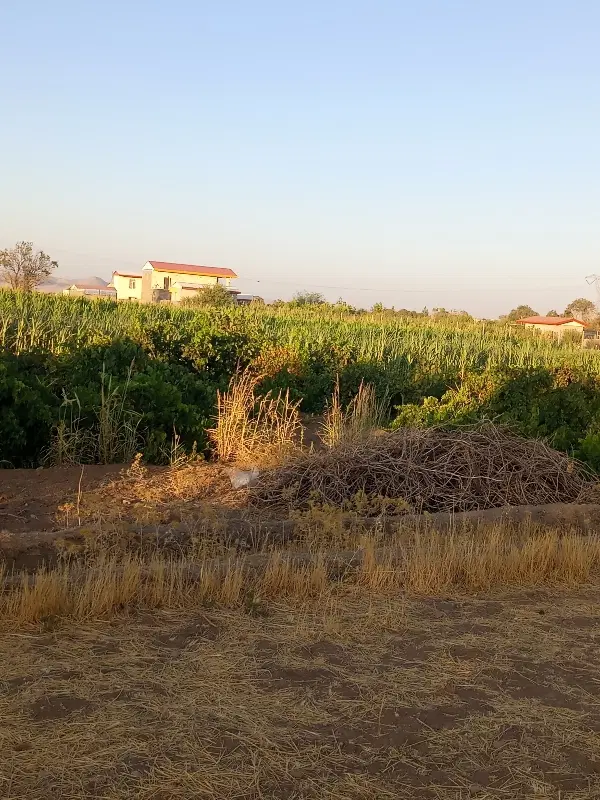 زمین میدان حجاب فروشی