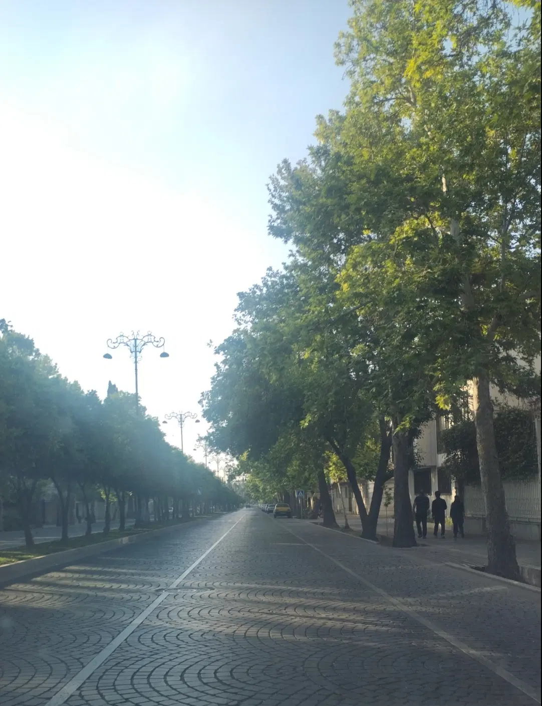 زمین تجاری
