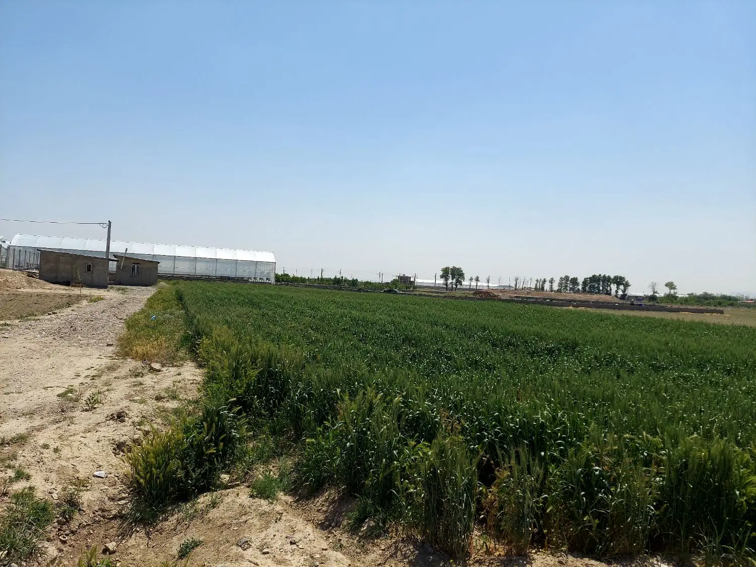 1000متر زمین مناسب باغ و احداث بنا