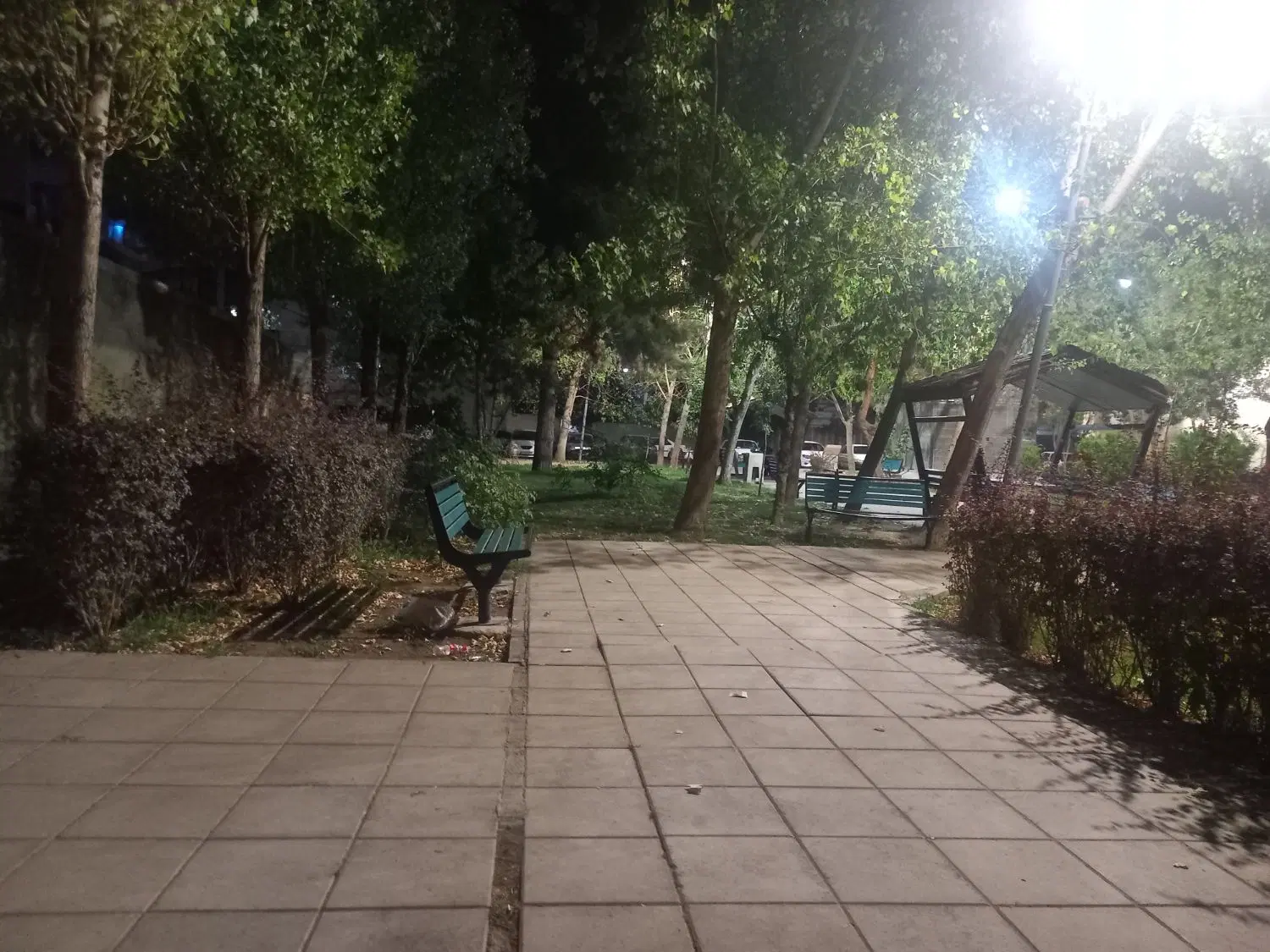 فضای سبز