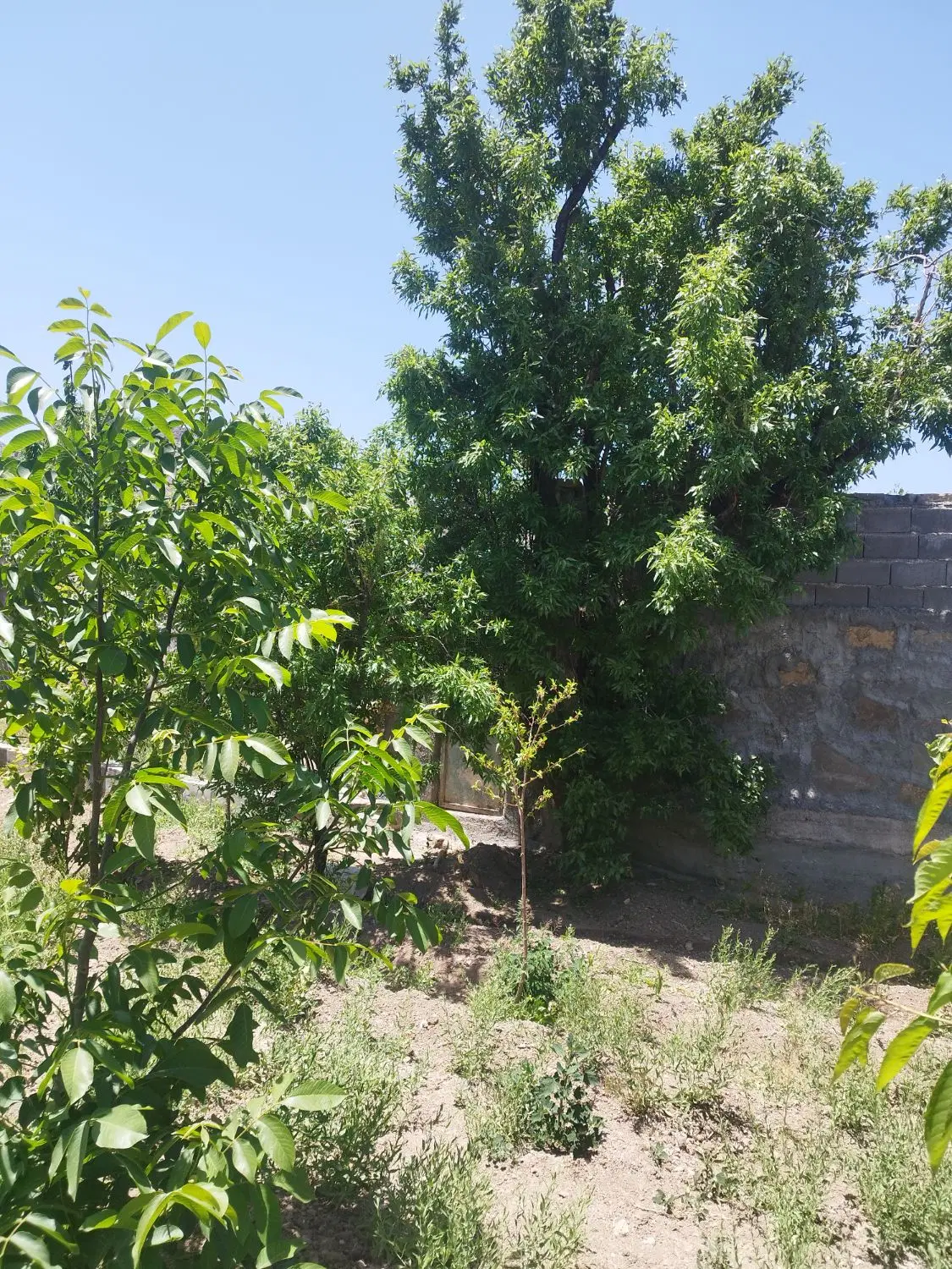 باغچه زیباچهاردیواری برجاده وشنوه بخش کهک