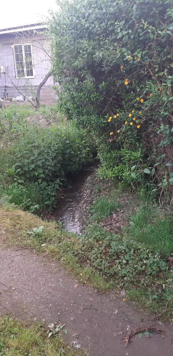 زمین کشاورزی