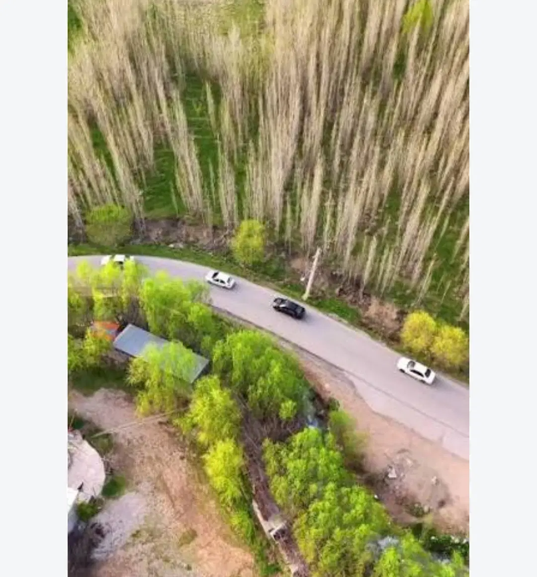 فروش مغازه در ونایی