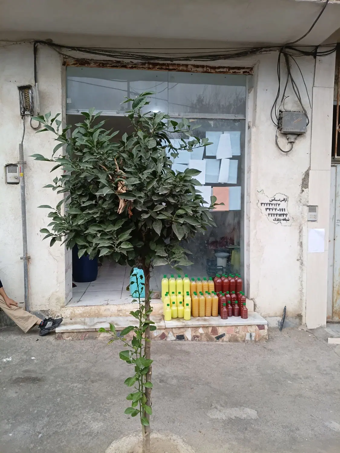 مغازه اجاره ای