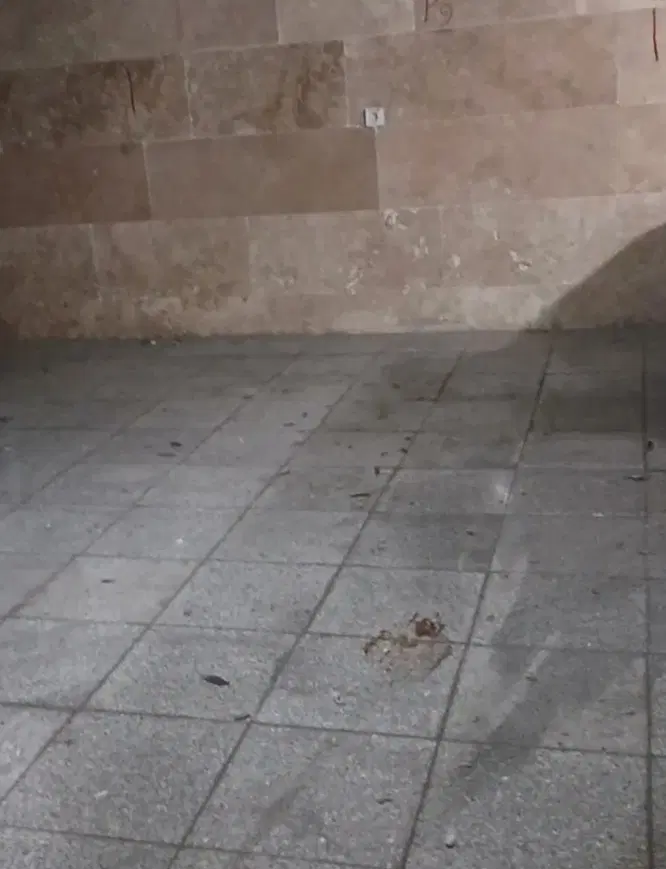 انباری سر پوشیده