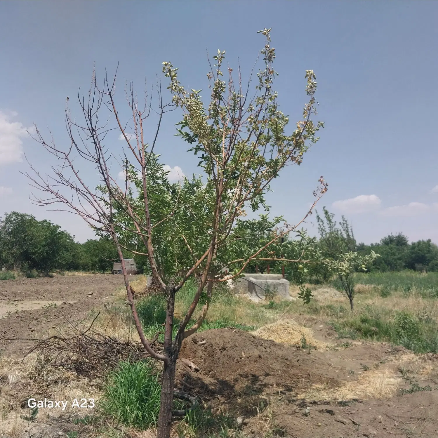 خانه ویلایی