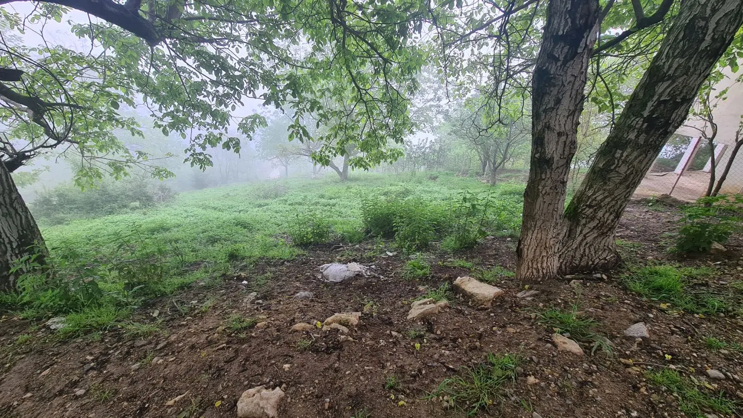 زمین بر خیابان اصلی