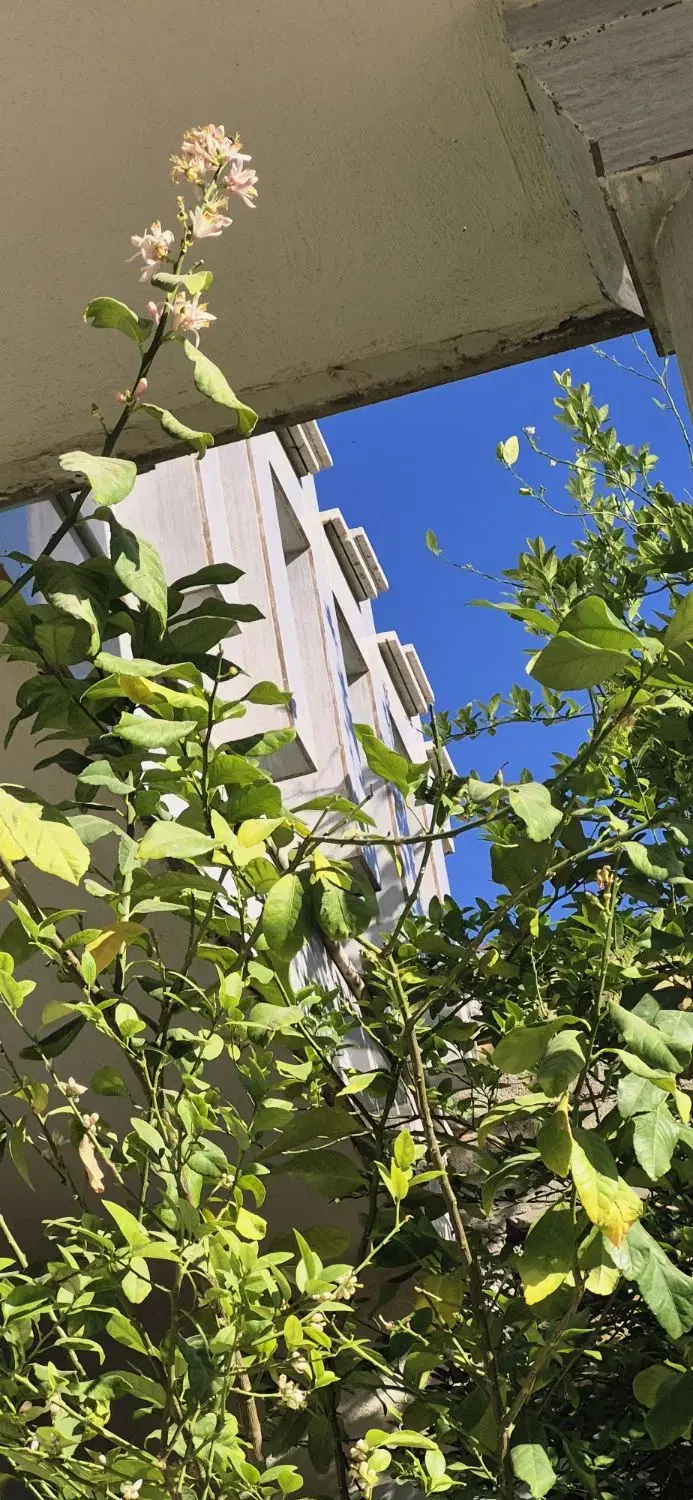 خانه ویلایی فروشی فوری